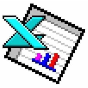 Excel 95 Logo