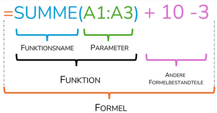 Anatomie Formel Funktion