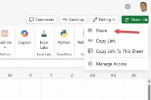 Excel Freigabe in OneDrive